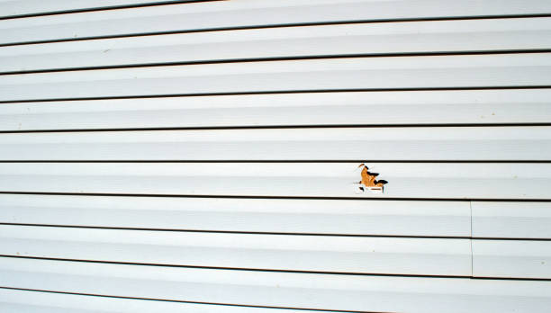 Best James Hardie Siding  in Bellflower, CA
